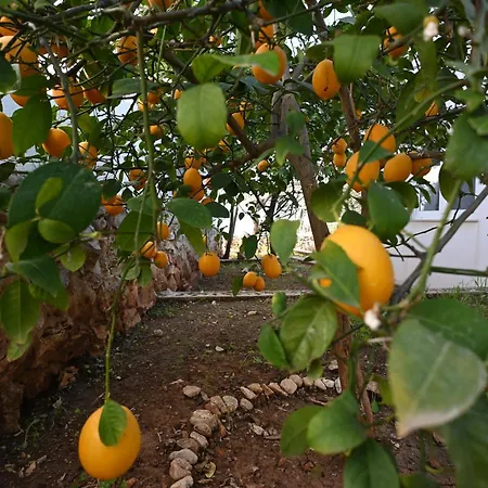 Seaview 11 Ciovo * Trogir