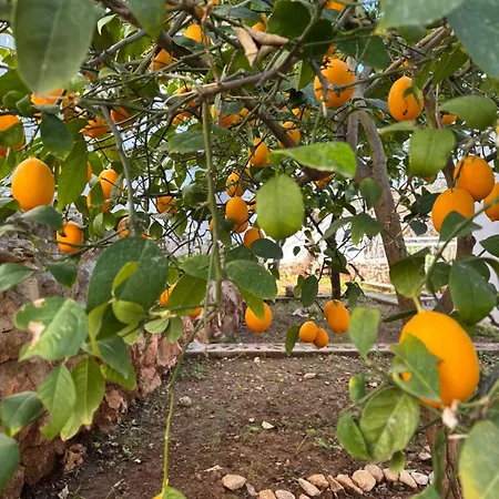 Seaview 11 Ciovo Апартаменты Трогир